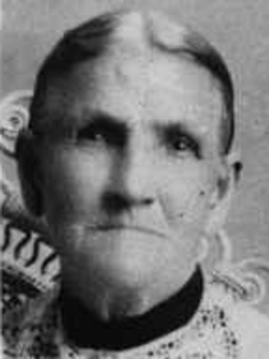 Nancy Frances Lovern (1839 - 1925) Profile